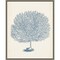 Antique Coral Collection I by Vision Studio 16-in. W x 20-in. H. Canvas Wall Art Print Framed in Grey
